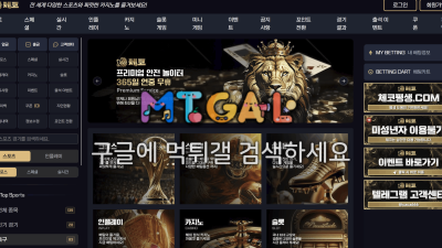 체코 cz-79.com 90만 먹튀! 계정을 정지시킨 먹튀 신고 내역