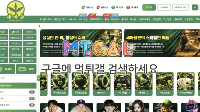 새마을 gv-v1.com 100만 먹튀, 신규 피해 신고