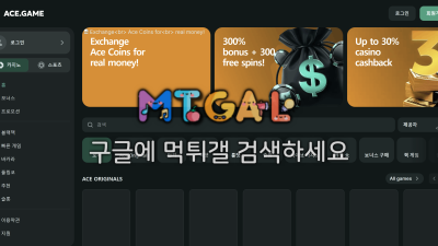 에이스게임(acegame-casino-kr.com) 165만 먹튀 · 소액만 환전해 준 먹튀 주의보